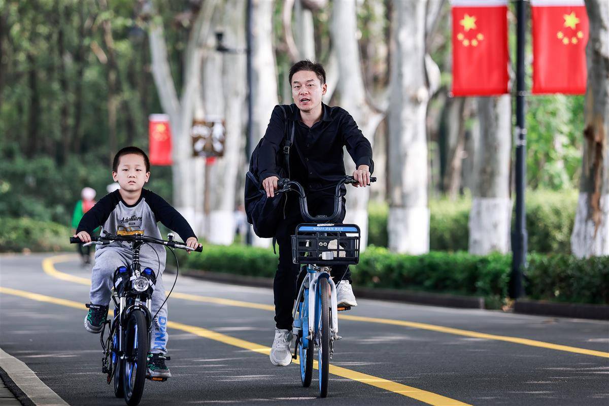 mg网络娱乐